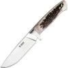 Böker Arbolito 02BA351H Hunter Griff Aus Hirschhorn 1 Böker Arbolito 02BA351H Hunter Griff Aus Hirschhorn -Boker Verkaufsgeschäft 9b8bd0f52d7f375d9f154ea37a108678